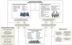 Planning for the complexity and uncertainty of urban socio-environmental futures